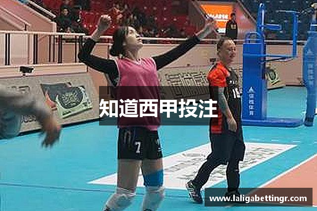 知道西甲投注